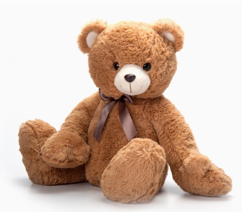 Teddy Bear Plush — Sungrove Blossoms - Rochester, NY Florist